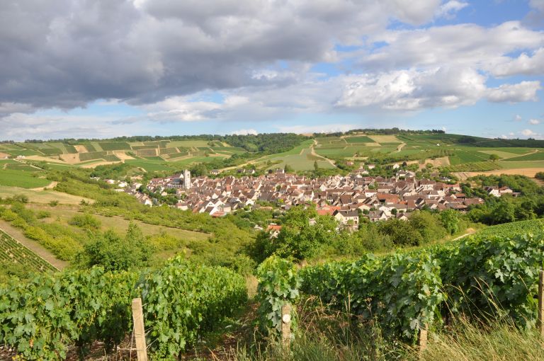 Le village d'Irancy - Syndicat des viticulteurs d'Irancy